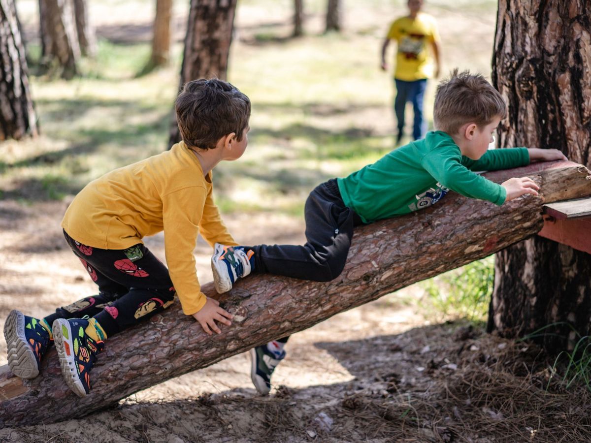 Zwei Kinder balancieren über einen Baumstamm im Wald